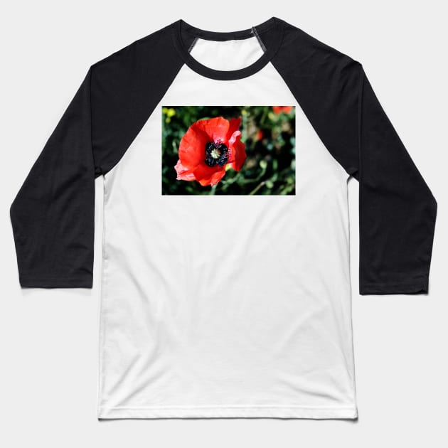 Red Poppy Flower Baseball T-Shirt by InspiraImage